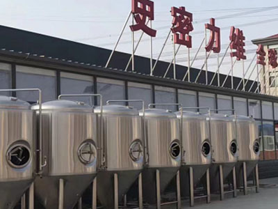 临朐精酿啤酒设备厂—如何判断精酿啤酒设备的密封件需要更换？